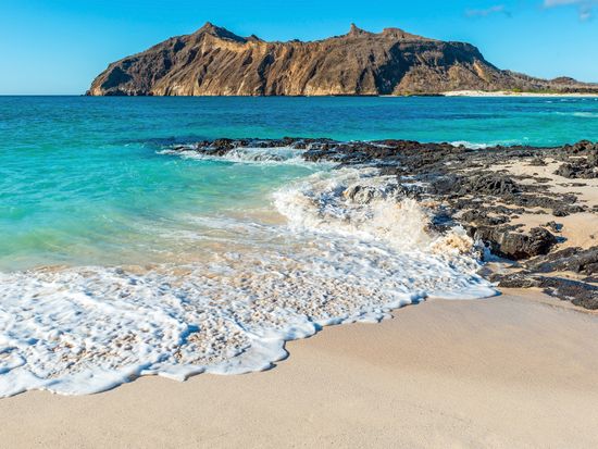 AdobeStock_437618060