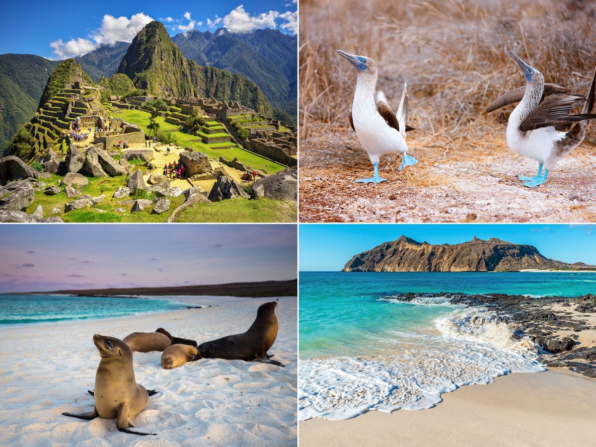 6泊7日】ペルー＆エクアドル周遊ツアー 世界遺産マチュピチュと野生