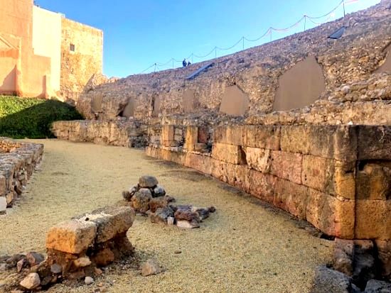 20230107114316_618444208_0