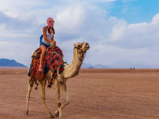 ラクダ乗り体験＆ベドウィンディナー　砂漠の中心で過ごす特別な夜＜英語／シャルム・エル・シェイク発＞