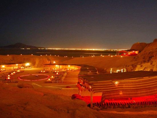 ラクダ乗り体験＆ベドウィンディナー　砂漠の中心で過ごす特別な夜＜英語／シャルム・エル・シェイク発＞