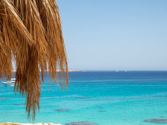 ギフトン島エデンアイランド1日ツアー　紅海の楽園で優雅なひとときを満喫＜混載／1日／英語ガイド／昼食付／ハルガダ発＞