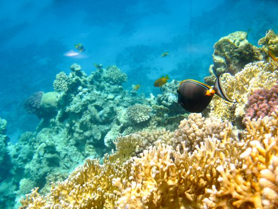 AdobeStock_191782506