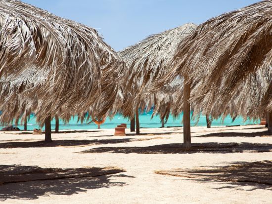 ギフトン島パラダイスアイランド1日ツアー　紅海沿岸の楽園でリラックス＆シュノーケリング体験＜昼食付き／英語／ハルガダ発＞