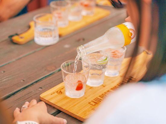 Cauldron Gin Tasting 2