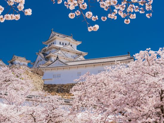 Japan_Hyogo_Himeji_Castle_pixta_98738862
