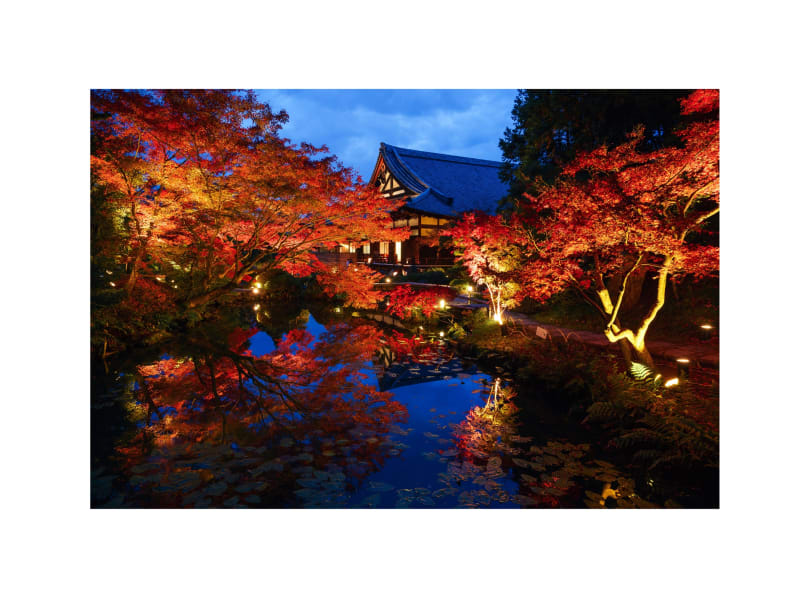 水野克比古｜金戒光明寺：｜_11_20163499_a7R2