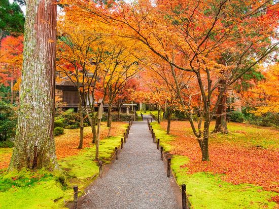 Japan_Kyoto_Sanzenin_pixta_80439303
