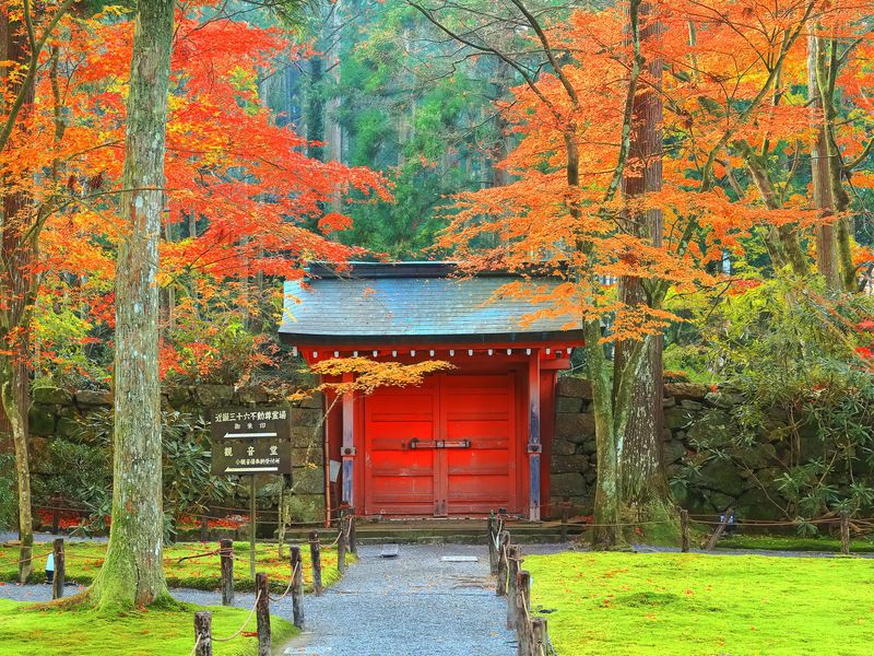 Japan_Kyoto_Sanzenin_pixta_86273815