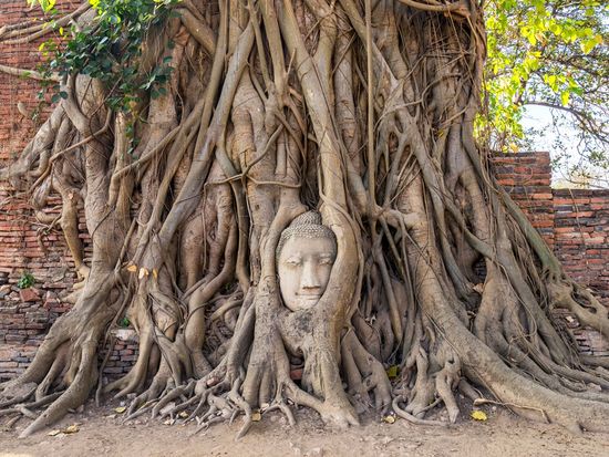 Thailand_Ayutthaya_W