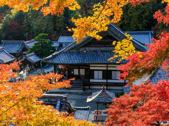 Japan_Kyoto_Yokokuji_pixta_60057864