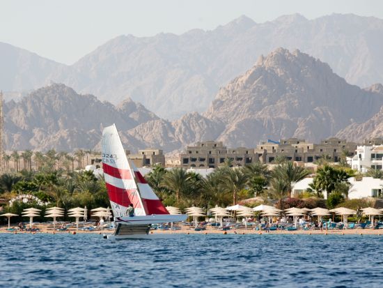 グラスボトムボートツアー　透明な船底から紅海の海中世界を堪能＜英語／シャルム・エル・シェイク発＞