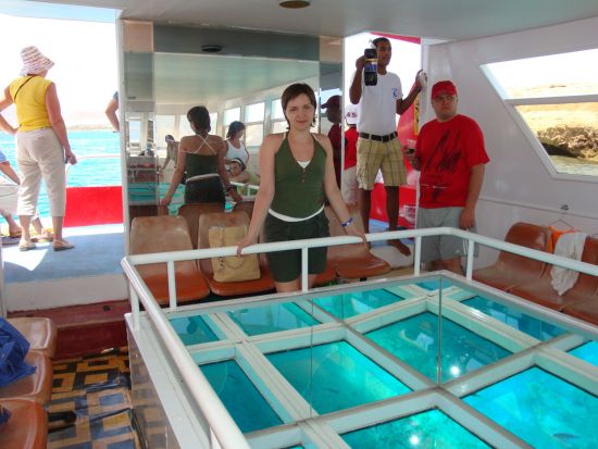 グラスボトムボートツアー　透明な船底から紅海の海中世界を堪能＜英語／シャルム・エル・シェイク発＞