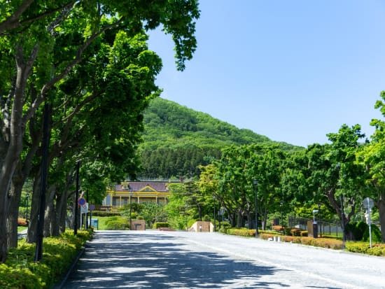 貸切観光タクシー 函館坂道めぐりの旅 函館の19の坂、そして地元の人だけが知る景色をご案内！＜1～9名／1時間／函館市内発着＞ by 道南ハイヤー