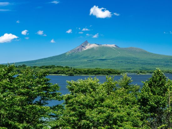 貸切観光タクシー　大沼国定公園＆きじひき高原　目の前の北海道の大自然、四季折々の姿をまるごと体験！＜1～9名／約5時間／函館市内発着＞ by 道南ハイヤー