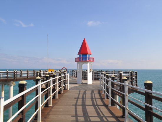 【釜山発・近郊観光ツアー】浦項ドラマロケ地1日ツアー　『海街チャチャチャ』『この恋は不可抗力』など＜ホテル送迎付／日本語ガイド／昼食付＞