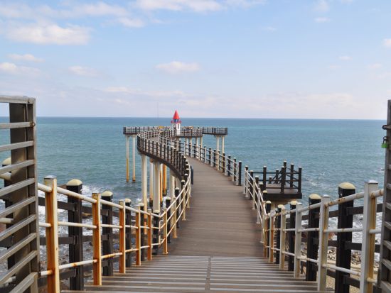 【釜山発・近郊観光ツアー】浦項ドラマロケ地1日ツアー　『海街チャチャチャ』『この恋は不可抗力』など＜ホテル送迎付／日本語ガイド／昼食付＞