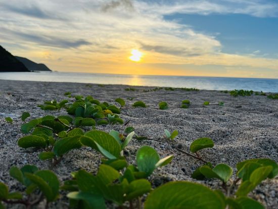 「奄美温泉 大和 ハナハナビーチリゾート」温泉1日利用　タオルセット・館内着・ロッカー等レンタル込み ＜大和村＞