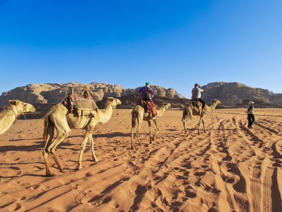 月の谷ワディ・ラム1日観光　ジープツアー付き ＜貸切／英語or日本語／アンマン発着／昼食付＞