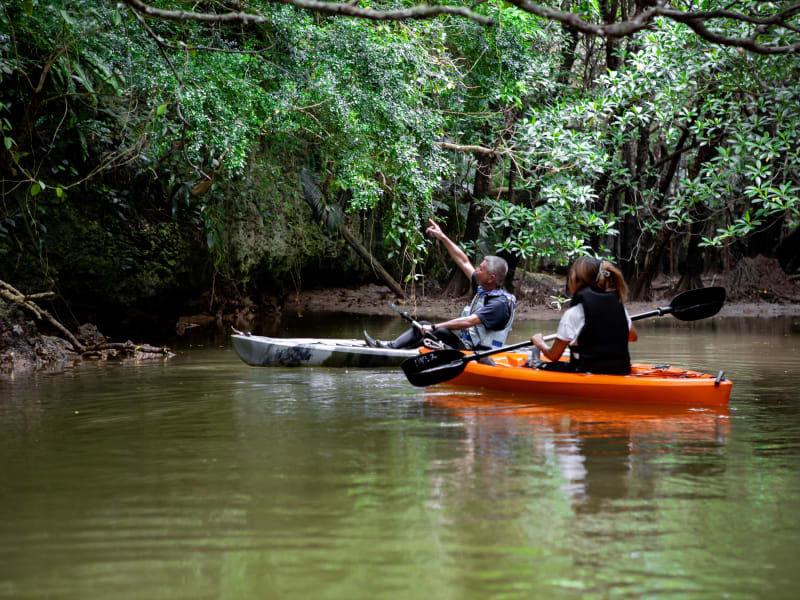 kayak3