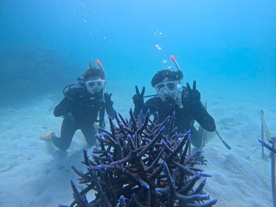 【2名限定】体験ダイビング 少人数制で初心者も安心 石垣島の海中世界を満喫する感動のひととき＜GoPro写真サービス付き／2時間／石垣島＞