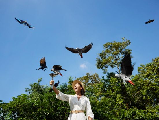 シンガポール動物園＋バードパラダイス入場チケット 動物たちとの朝食体験「ブレックファスト・イン・ザ・ワイルド」付きプランあり ＜日本語ガイド／往路送迎＞