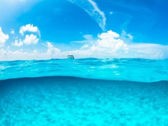 シュノーケリング MUSA水中美術館（海底美術館）＆お魚いっぱいサンゴ礁ポイント＜貸切／日本人インストラクター／水中写真プレゼント＞