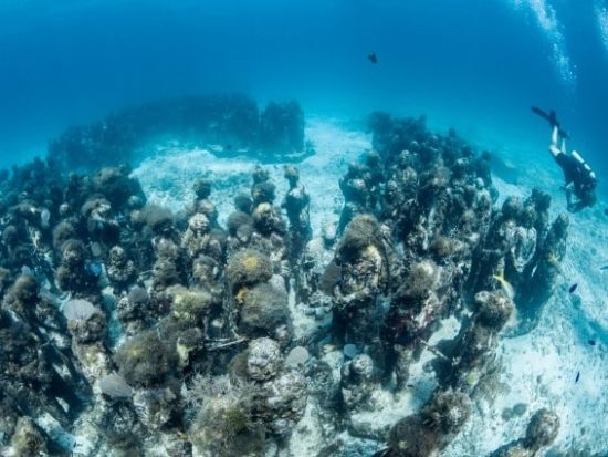 シュノーケリング MUSA水中美術館（海底美術館）＆お魚いっぱいサンゴ礁ポイント＜貸切／日本人インストラクター／水中写真プレゼント＞