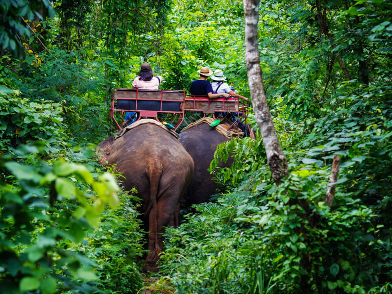 Thailand_Khao Yai National Park_Elephant ride_shutterstock_461927368