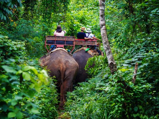 【都市間送迎】バンコク市内 ⇔ カオヤイ地区 ＜貸切／最大9名／現地語ドライバー＞