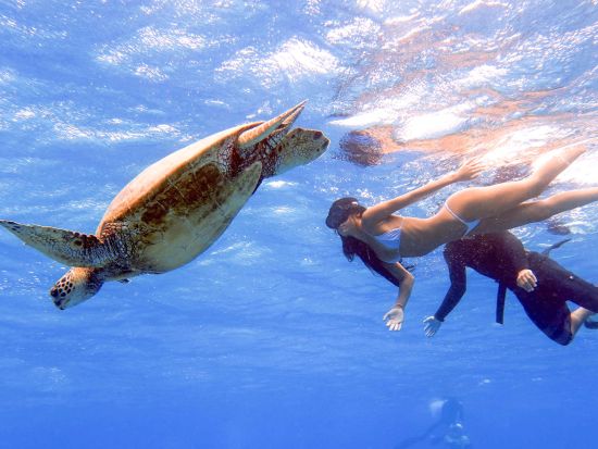 マリンスポーツパッケージ　2種類または3種類　バナナボート＋バンパーチューブもしくは＋シュノーケリングも！送迎付きプランあり＜ハワイカイ＞