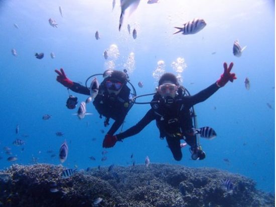 ファンダイビング ライセンス保有者対象 青の洞窟など3つのポイントから開催ポイントを選んで沖縄の海を楽しむ＜初心者ダイバー歓迎／1ダイブ／2時間／恩納村発＞