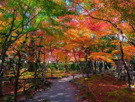 pixta_47044527_化野念仏寺の紅葉