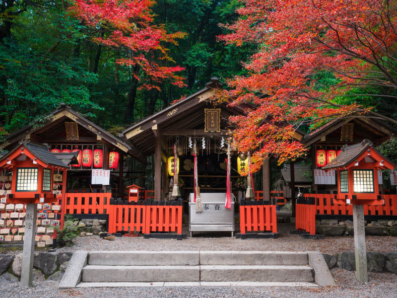 pixta_27606972_野宮神社の紅葉