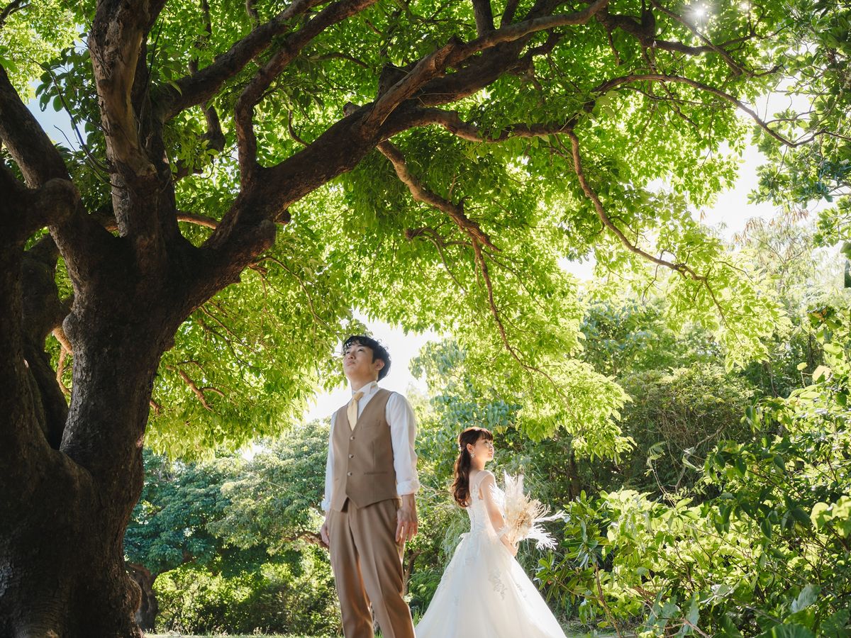 ウェディング | 沖縄 旅行の観光・オプショナルツアー予約 VELTRA