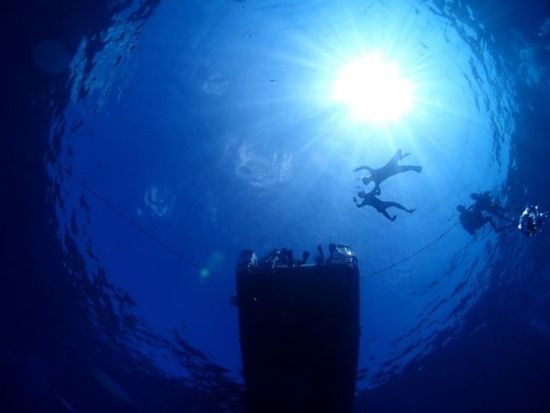 慶良間1日シュノーケリング　ウミガメ、サンゴ礁、熱帯魚の楽園慶良間諸島で2~3ポイント回遊！ケラマブルーをとことん満喫＜約7時間／那覇市内送迎無料／那覇市発＞