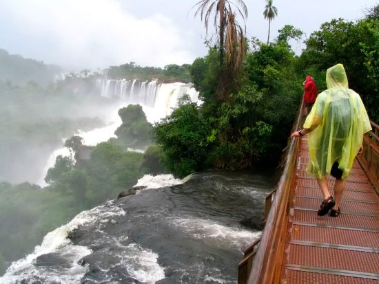 イグアスの滝 アルゼンチン側から眺める！日帰りツアー＜英語ガイド／ホテル往復送迎／プエルト・イグアス発＞