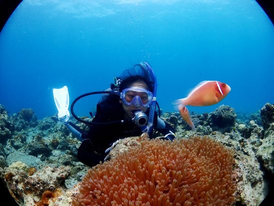 ビーチ体験ダイビング　水中写真プレゼント！持ち物は水着とビーチサンダルだけ！（シャワー・更衣室・ドライヤー・タオル完備）