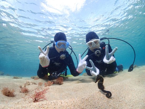 ビーチ体験ダイビング　水中写真プレゼント！持ち物は水着とビーチサンダルだけ！（シャワー・更衣室・ドライヤー・タオル完備）