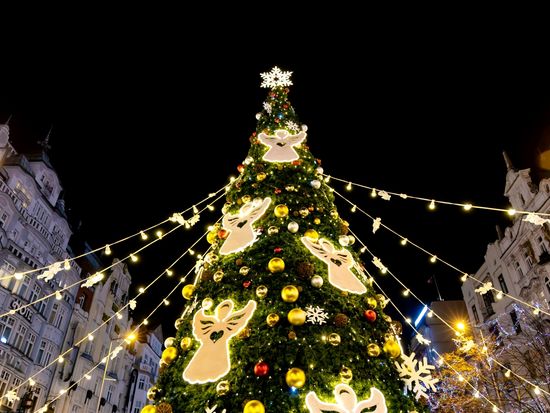 AdobeStock_551765523