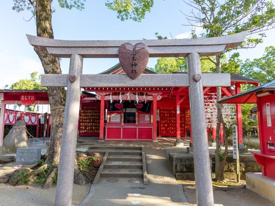 pixta_56841854_恋木神社
