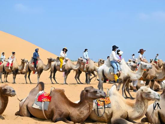 【5～10月限定の週末プラン】上海発 内モンゴル泊2日間 ゲル宿泊体験！シラムレン大草原＋クブチ砂漠の娯楽施設を全網羅＜日本語ガイド・往復航空券付・混載無＞