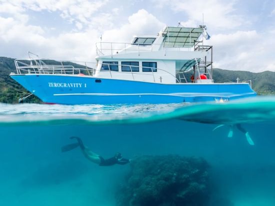 シュノーケリングツアー 1日プラン　ウミガメとの出合いにも期待！透明度の高い海で色とりどりの魚たちと触れ合うコース ＜瀬戸内町＞ by ゼログラヴィティ