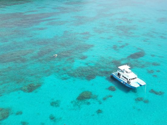 シュノーケリングツアー 1日プラン　ウミガメとの出合いにも期待！透明度の高い海で色とりどりの魚たちと触れ合うコース ＜瀬戸内町＞ by ゼログラヴィティ