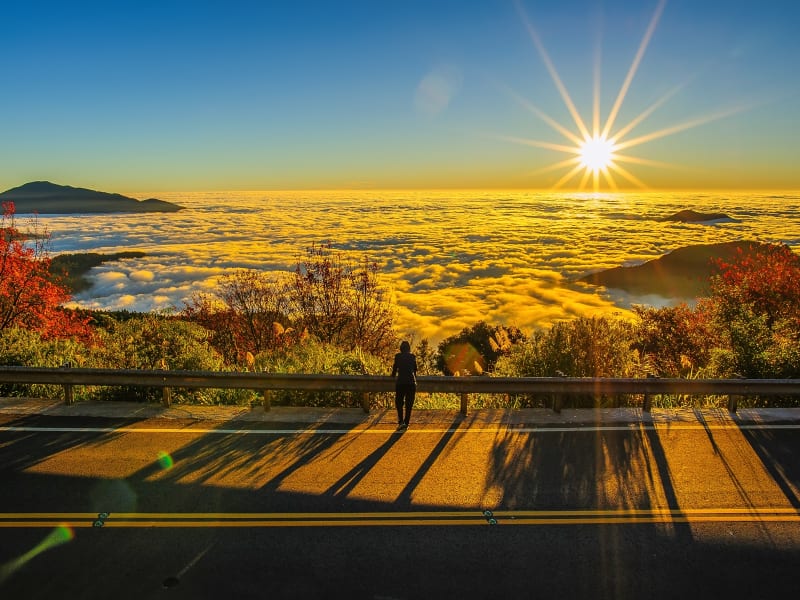 Taiwan_Alishan_Sunrise_shutterstock_619211114