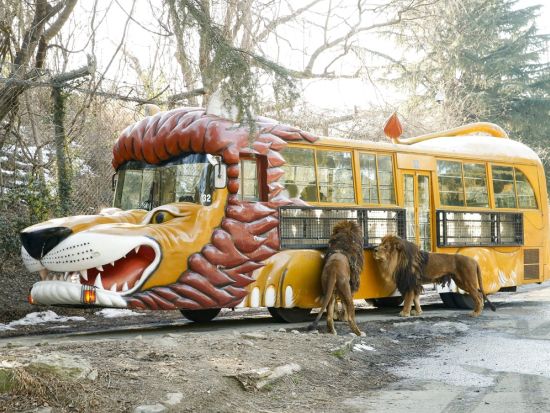 群馬サファリパーク 入園チケット ウォーキングサファリで冒険気分を満喫！＜BBQセット付きの入園券あり／日付指定＞