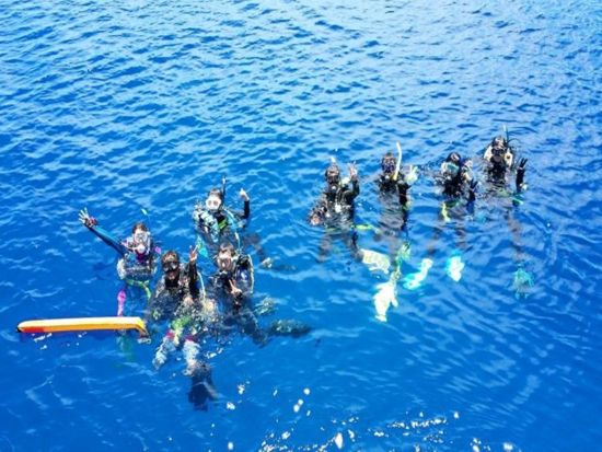 慶良間1日ファンダイビング 屈指の透明度を誇るケラマブルーを冒険！＜約7時間／ライセンス保持者対象／那覇市内送迎無料／那覇市発＞