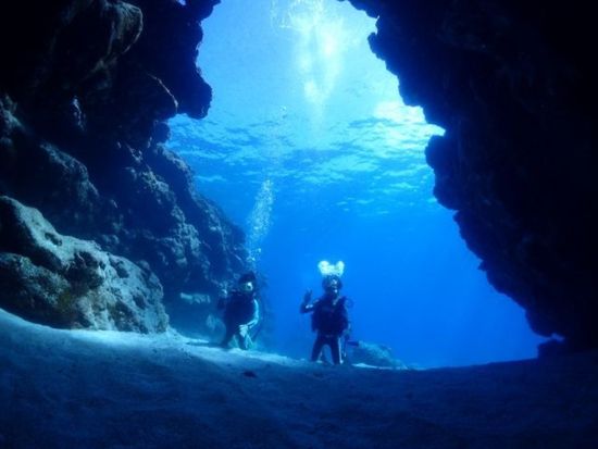 慶良間1日ファンダイビング 屈指の透明度を誇るケラマブルーを冒険！＜約7時間／ライセンス保持者対象／那覇市内送迎無料／那覇市発＞