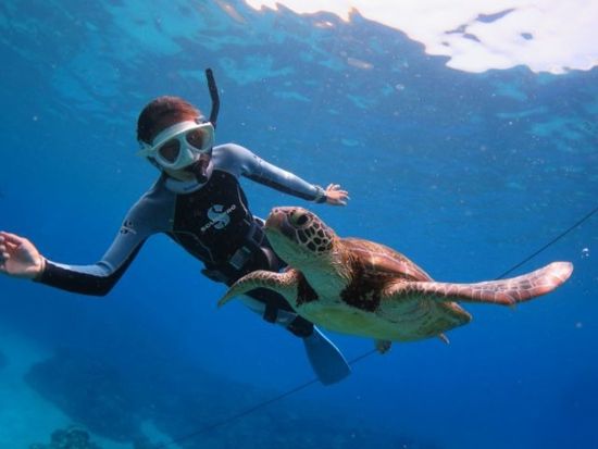 慶良間1日スキンダイビング 初心者大歓迎◎手ぶらで気軽に参加OK ケラマブルーを冒険しよう！＜約7時間／那覇市内送迎無料／那覇市発＞