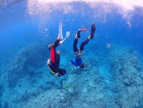 慶良間1日スキンダイビング 初心者大歓迎◎手ぶらで気軽に参加OK ケラマブルーを冒険しよう！＜約7時間／那覇市内送迎無料／那覇市発＞